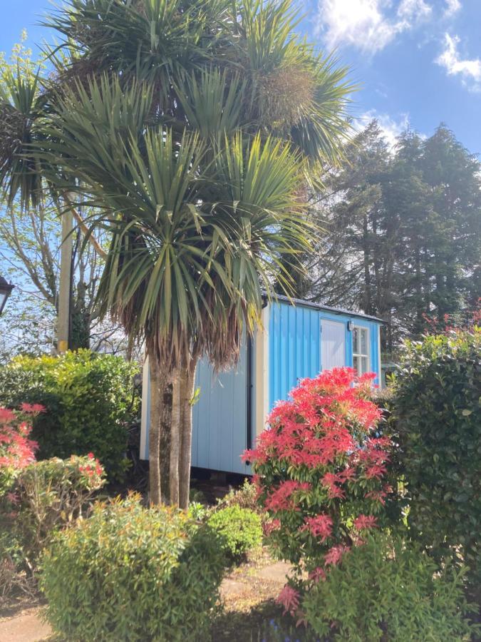Atlantic Way Shepherd Hut Moville Exterior foto